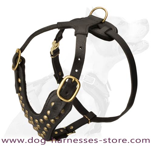 Studded Leather Dog Harness With Soft Thick Felt  Padding