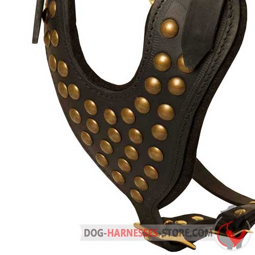 Studded Leather Dog Harness with Y-Shaped Chest Plate