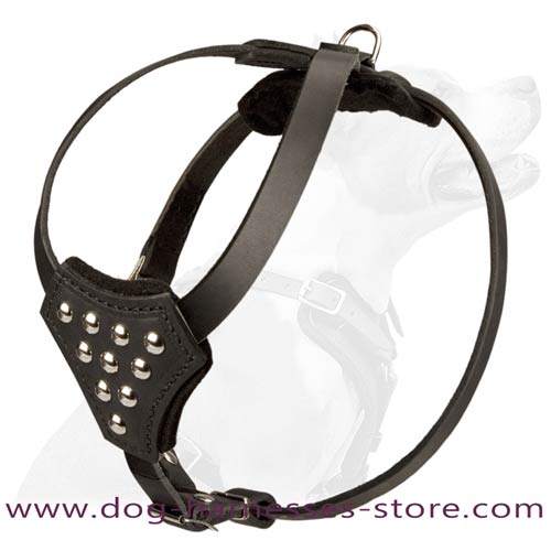 Studded Leather Dog Harness for Small Breeds