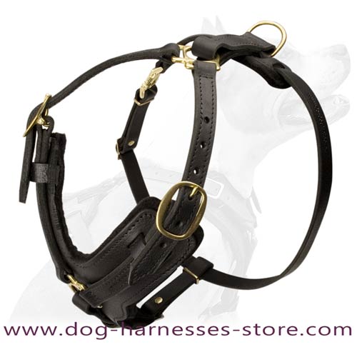 Fantastic Design Leather Dog Harness With Brass  Hardware