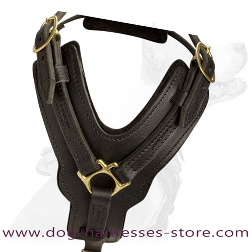 Comfortable Y-Shape Leather Dog Harness Padded With  Soft Thick Felt
