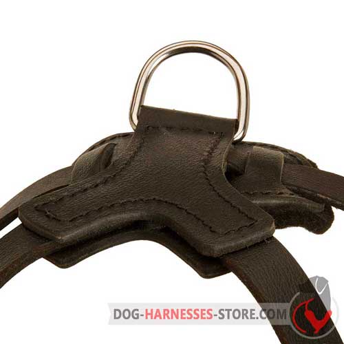 Perfect Attack And Agitation Training Leather Dog  Harness