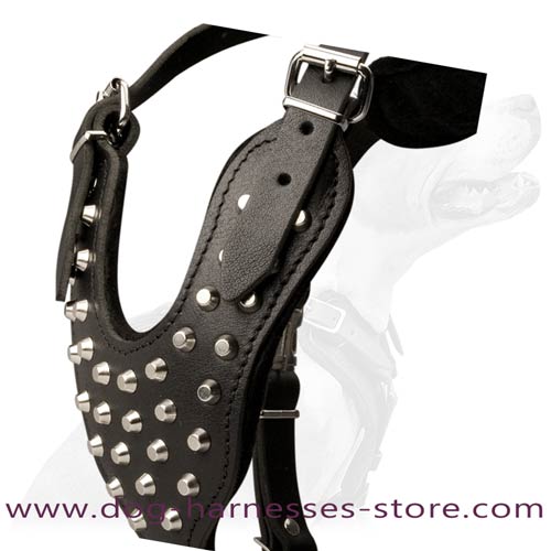 Y-shape     Leather Dog Harness With Nickel Plated Pyramids