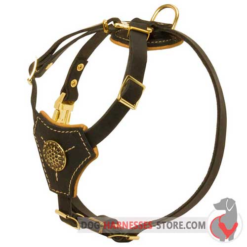 Leather Dog Harness for Walking Puppies and Small Breeds