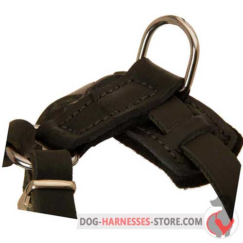 Leather Puppy Harness Back Plate Hand Stitched with Ring