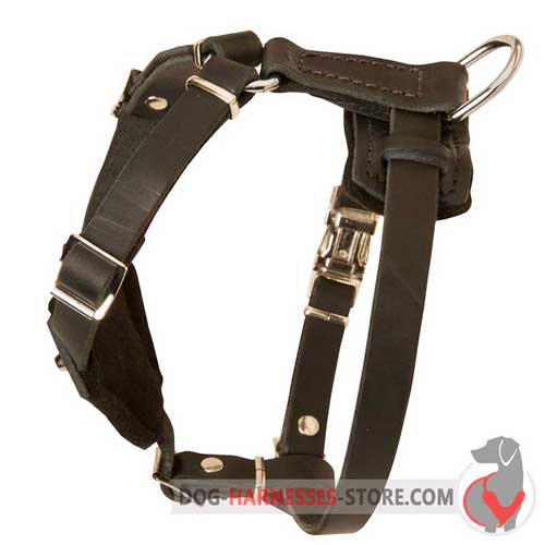 Leather Dog Harness for Walking Puppies and Small Breeds