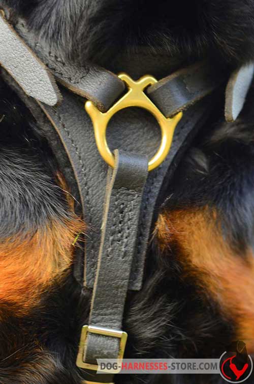  Leather dog harness softly padded on the chest 