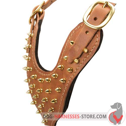  Leather dog harness with Y-shaped spiked plate