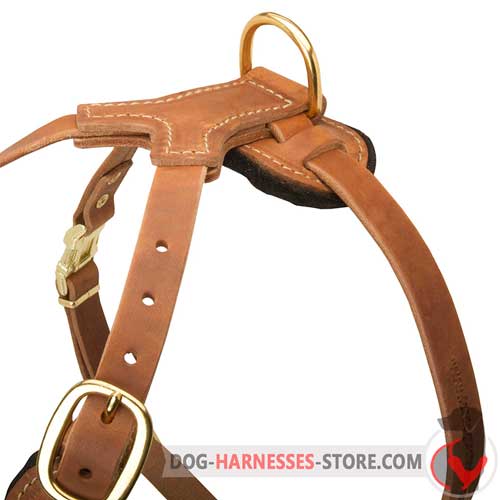 Reliable leather dog harness with brass fittings