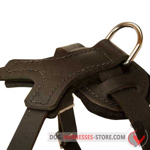 Reliable leather dog harness with nickel D-ring