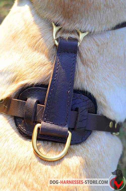 Agitation training leather dog harness