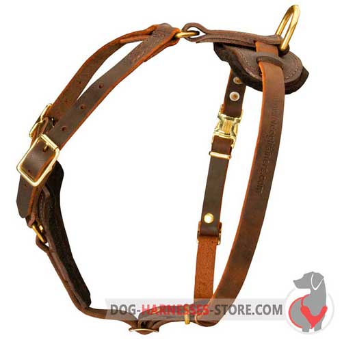 Easy adjustable leather dog harness