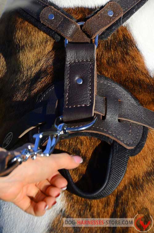 Multipurpose Leather Dog Harness with Handle for Better Control