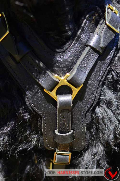  Softly padded leather dog harness 