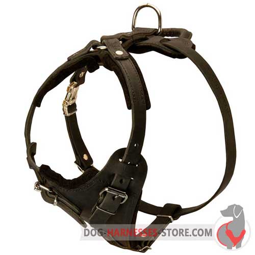 Training Leather Dog Harness Padded with Thick  Felt