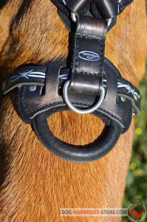 Leather dog harness with comfy handle