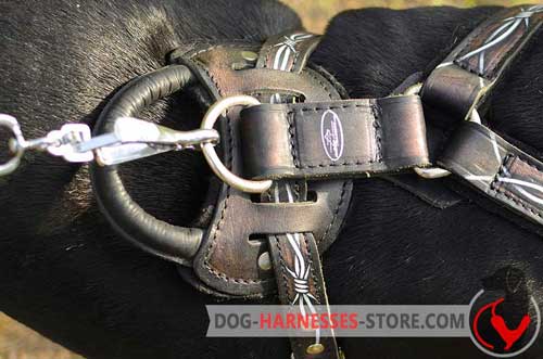 Reliable leather dog harness with sturdy fittings 