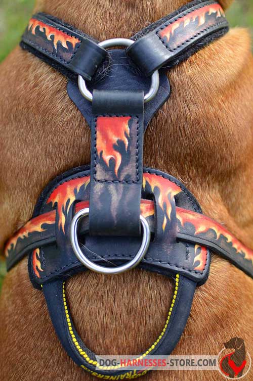 Reliable leather harness with sturdy fittings