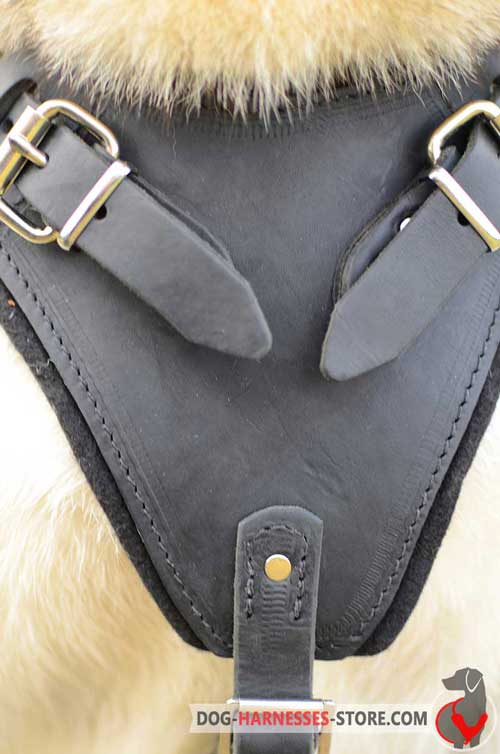 Leather dog harness with chest padding