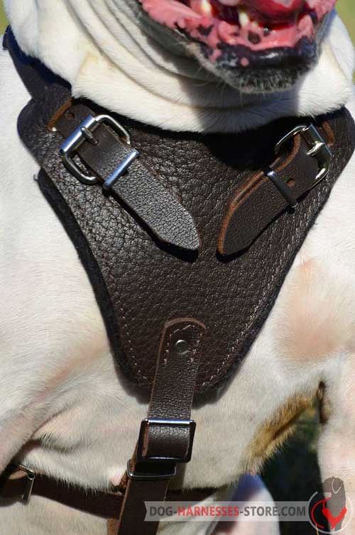 Multipurpose Leather Dog Harness