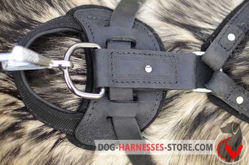 Rust-resistant leather dog harness