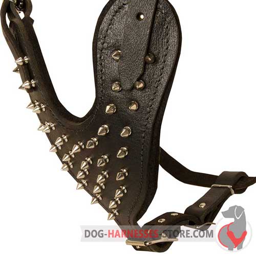 Exclusive Design Spiked Leather Dog Harness