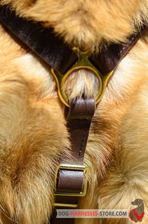 Adjustable wide leather straps