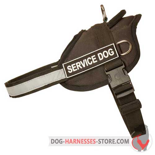Light-weight nylon dog harness with reflective strap