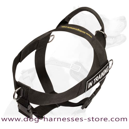 Strong Nylon Dog Harness Suitable For Any Weather  Conditions