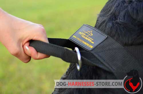 Nylon Dog Harness Back Part with Handle