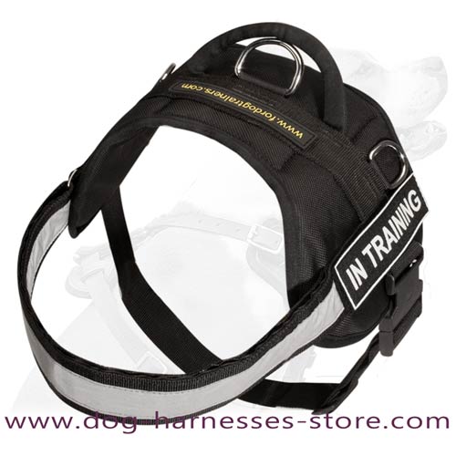 Comfortable Nylon Dog Harness For Any Weather