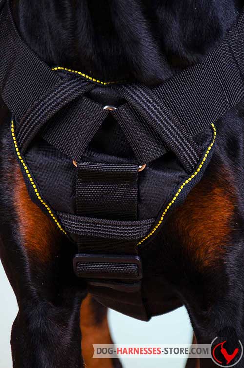  Nylon Harness with non-rusting hardware