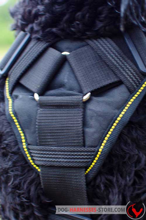  Cushion-like nylon dog harness