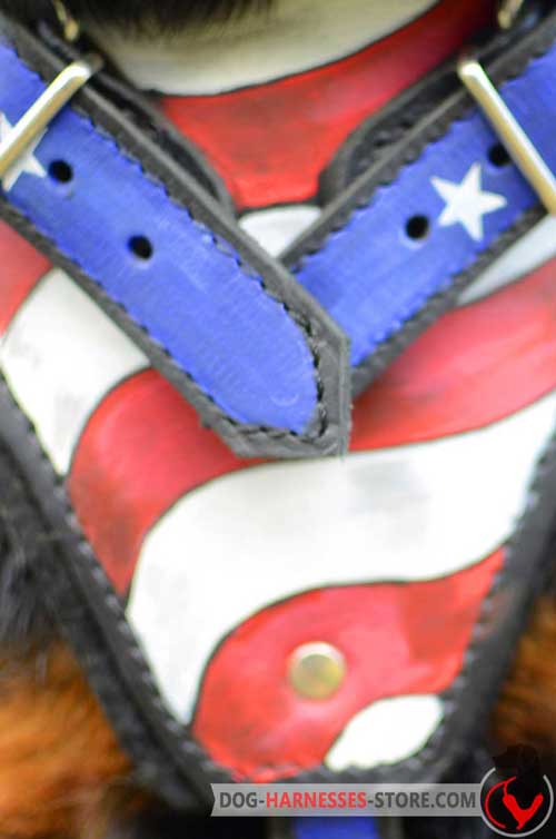 Padded Dog Harness Front Plate Painted with Barbed Wire