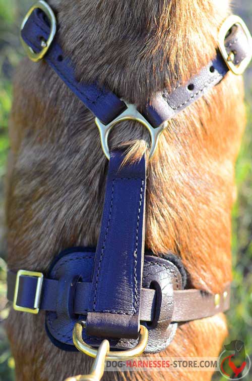 Tracking Leather Dog Harness