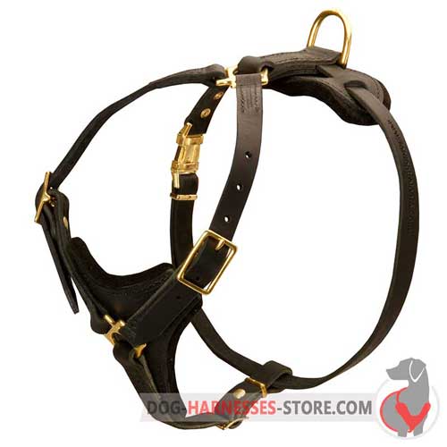 Easy adjustable dog harness for effective tracking