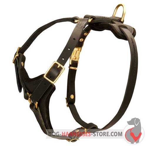 Comfortable leather harness for walking with your dog