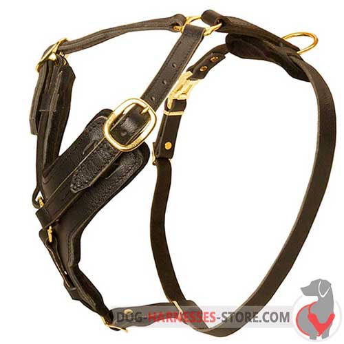 Y-Shape Leather Dog Harness Padded with Soft Thick Felt