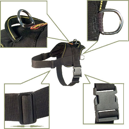 Flexible Freedom Dog Harness for every day walking dogs