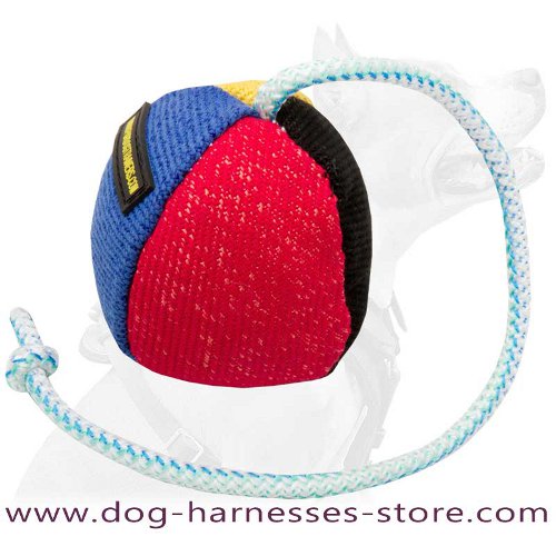 French Linen Dog Toy on the String