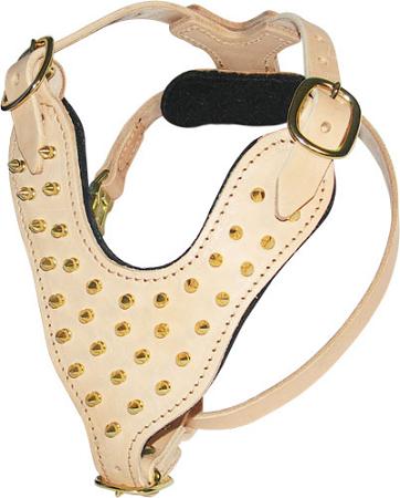 Padded Leather Spiked Dog Harness-Handmade Dog Harness