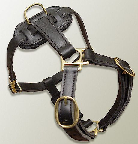 Luxury handcrafted dog harness