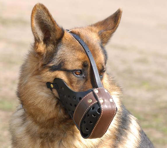 Leather dog muzzle "Dondi"-pluse style-M55