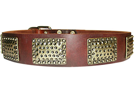 Luxury Leather Dog Collar for every day walking dogs