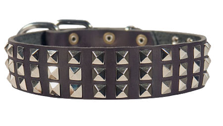 Silver Pyramid Leather Dog Collar for walking dogs