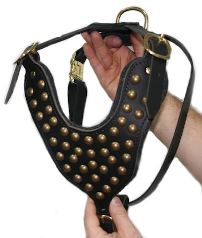 Studded Great Dane Harness for Walking and Training