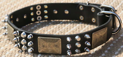 Best collar -Leather Dog Collar-brass massive plates&spiked