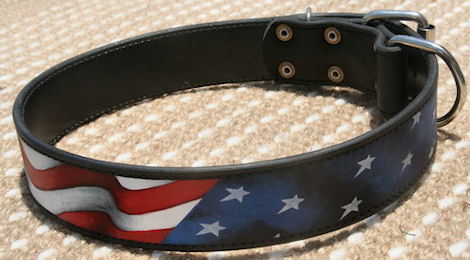 Best Custom Leather Collar- Hand Painted Leather Dog Collar c-77