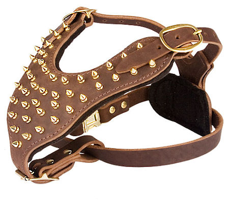 Handmade Leather Dog Harness with Brass Spikes