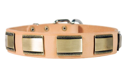 Designer Dog Collar for DOG-Leather Custom Collar